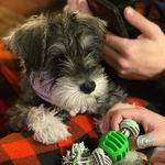 Penny Espriella-Batson - @penny_and_her_thoughts - Instagram