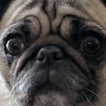 cricket and penny bauer - @cricketandpenny - Instagram
