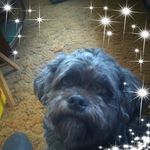 Penny Baxter - @penny.baxter.790 - Instagram