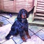 Penny Baxter - @pennybaxter1961 - Instagram