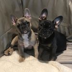 Penny baxter - @penbaxey - Instagram