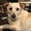 pennybaxterriorda - @pennybaxterriorda - TikTok