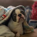 Penny Beach - @misspenny3 - Instagram