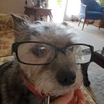 Penny Beach - @tinkerbch - Instagram