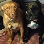 Penny Shirk Beach - @pennyshirkbeach - Instagram