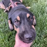 @_pennybean - Instagram