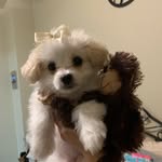 Penny Bean - @pennybean21 - Instagram
