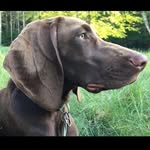 Penny Bean - @penny.ella.bean - Instagram