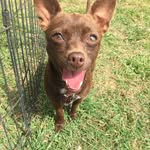 Penny Bean - @pennybeanie - Instagram