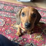 penny bean - @aspenny_ - Instagram