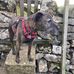 Penny Beard - Facebook