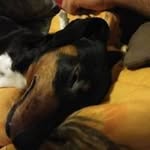 Penny Bearden - @pennybearden - Instagram