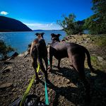 Penny and Beasley - @pennyandbeasley - Instagram