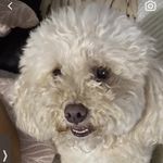 Penny Beaty Dismukes - @pennybdismukes - Instagram