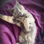 Penny Bee - @penny_beeee - Instagram