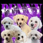 Penny - @penny.bee - Instagram