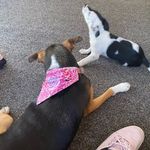 BeeBee & Penny Rule - @beebeeandpennyrule - Instagram