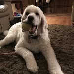 Penny - @penny_beech - Instagram