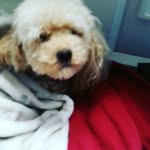 penny summer rose beech - @pennybeech123 - Instagram