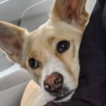 Penny Bender - @penny_bender_ - Instagram