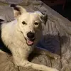pennycbender - @pennycbender - TikTok