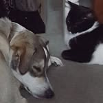 Penny Berg - @penny.berg.50 - Instagram