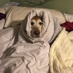 Penny - @penny_bergman - Instagram
