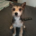 penny.bergasse - @penny.bergasse - Instagram