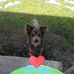 Penny Bergeron - Facebook