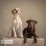 Bernard and Penny - @crazylife.of.bernard_penny - Instagram