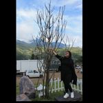 Penny Bernard - @pennyb.bernard - Instagram