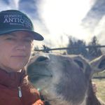 Penny Betts - @pennybettslandscapedesign - Instagram