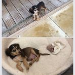 Penny Betts - Facebook