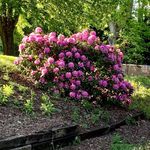 Penny Smith Betts - @penny_smith_betts - Instagram