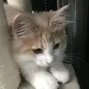 pennybieber741 - @pennybieber741 - TikTok