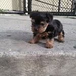 Derrick Billins - @pennybillins - Instagram