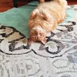 Penny Bill - @pennybill3 - Instagram