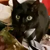 user4481870226835 - @pennybill31 - TikTok