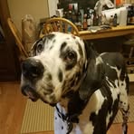 Penny Billman - Facebook