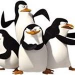 Penny Bird - @bird_penny - Instagram