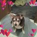 Penny Bolinger - Facebook