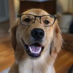 Penny 🐝 - @pennybeebosmans - Instagram