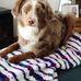 Penny Bouchard - Facebook