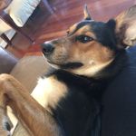 Penny - @penny_bower - Instagram