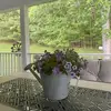 pennybower8 - @pennybower8 - TikTok