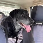 Penny Baker Boyer - @peniboyer - Instagram