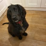 Penny Boylan - @pennboylan - Instagram