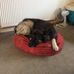 Penny Bragg - Facebook