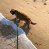 penny_bragg - @penny_bragg - TikTok