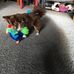 Penny Bratton - Facebook